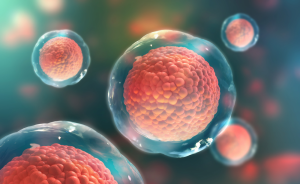 Cells of the body under a microscope